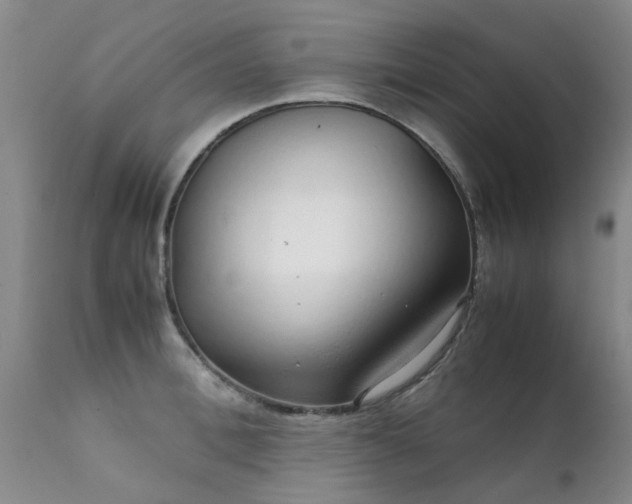 X0000112110996200908111438