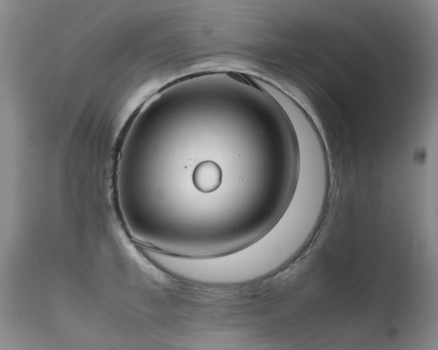 X0000112110997200908111438