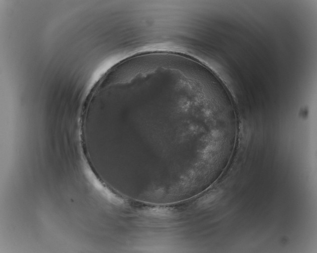 X0000112110998200908111438