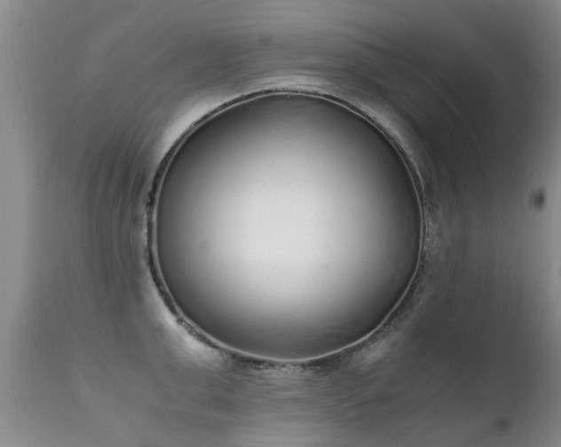 X0000112110999200908111438