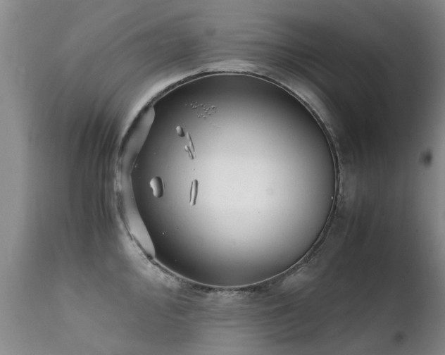 X0000112111000200908111438