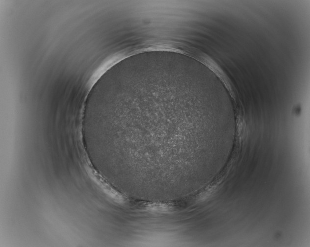 X0000112111002200908111438