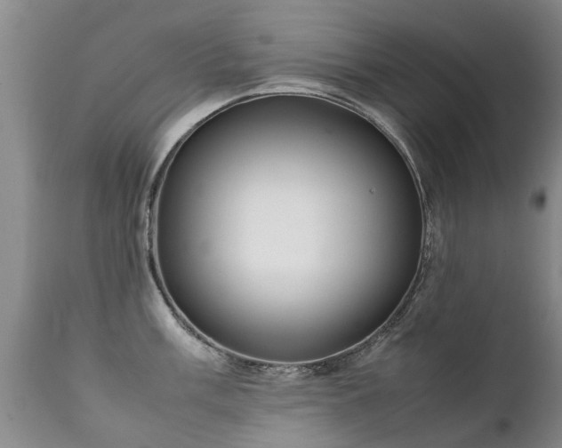 X0000112111003200908111438