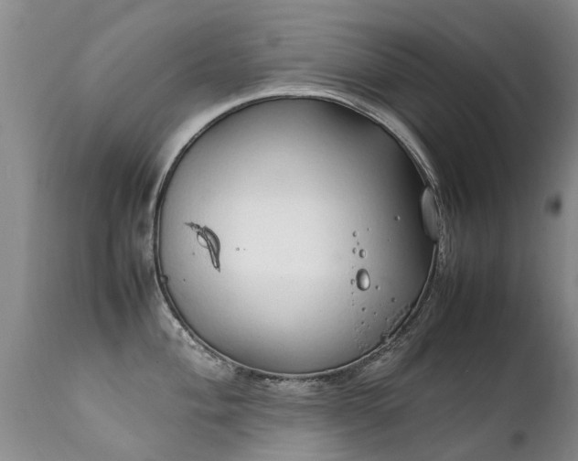 X0000112111004200908111438