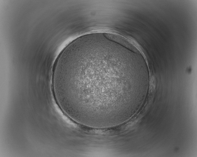 X0000112111005200908111438