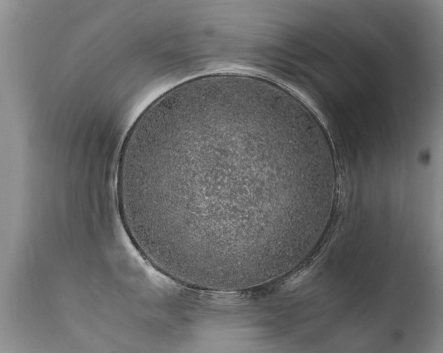 X0000112111007200908111438