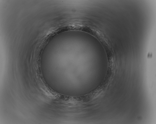 X0000112111009200908111437