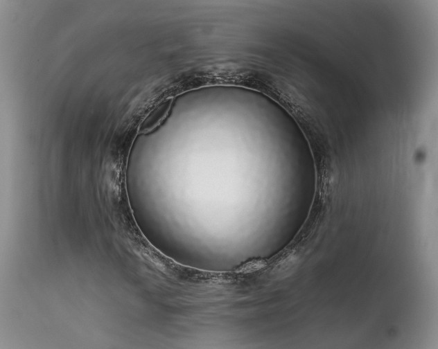 X0000112111010200908111437