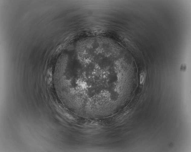 X0000112111011200908111437