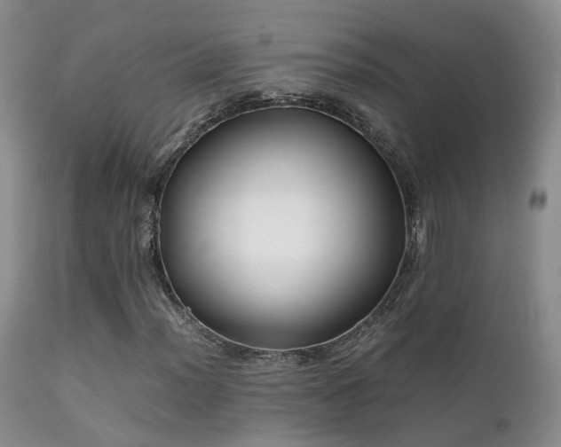 X0000112111012200908111437