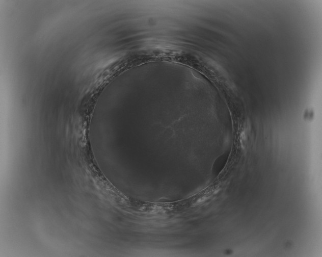 X0000112111013200908111437