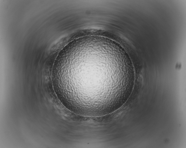 X0000112111014200908111437