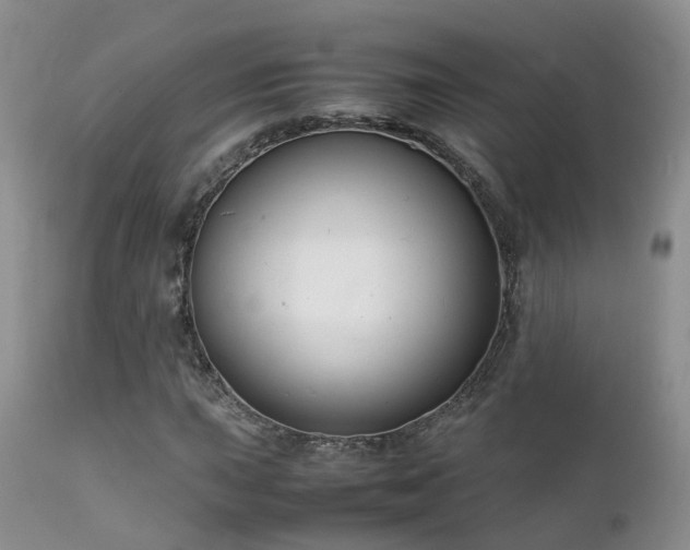 X0000112111015200908111437