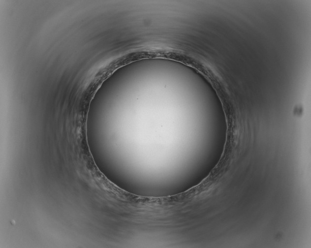 X0000112111016200908111437