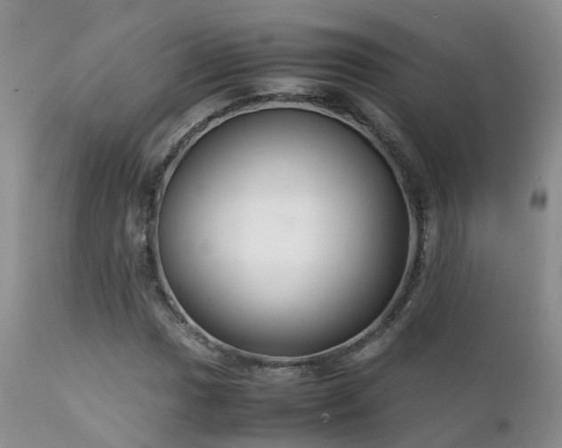 X0000112111017200908111437