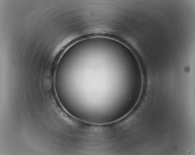 X0000112111018200908111437