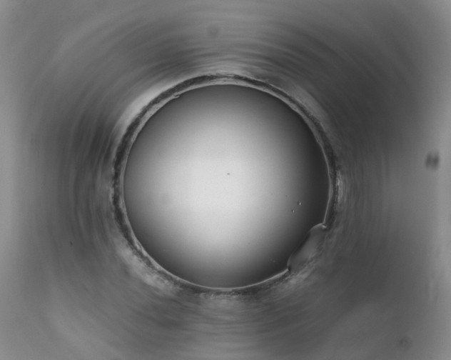 X0000112111020200908111437