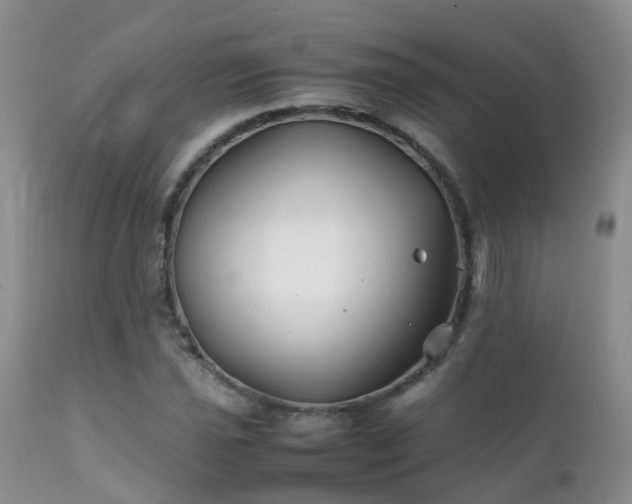 X0000112111021200908111437