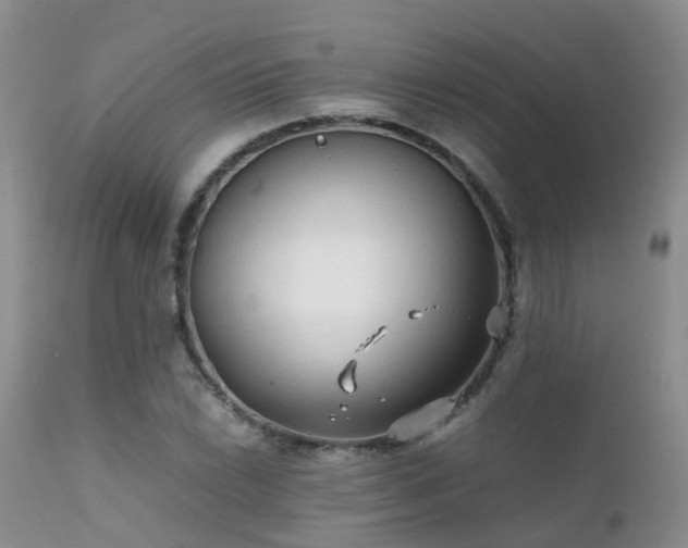 X0000112111022200908111437