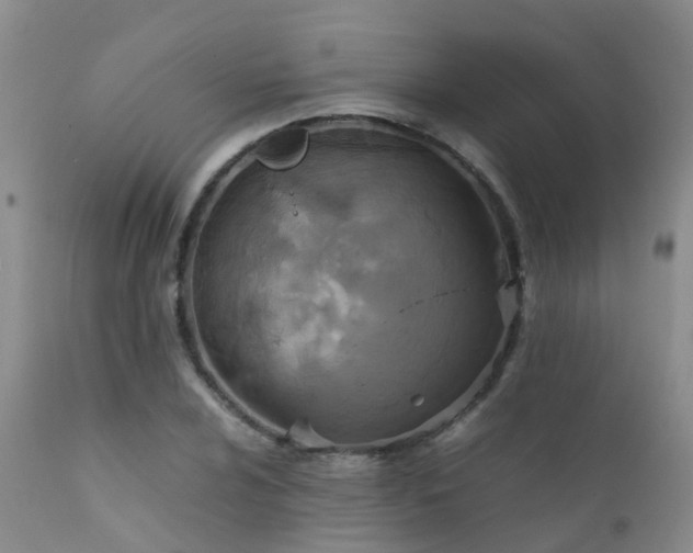 X0000112111024200908111437