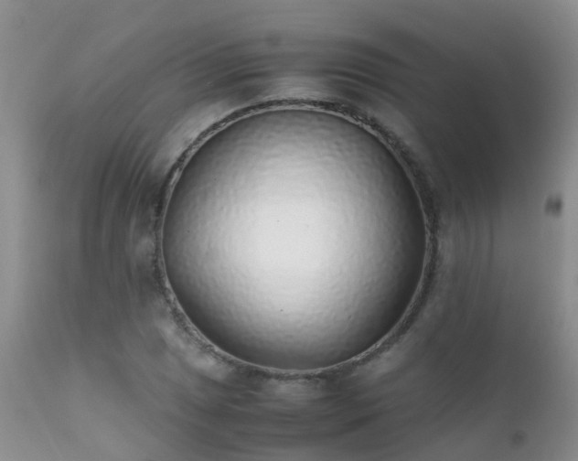 X0000112111025200908111437