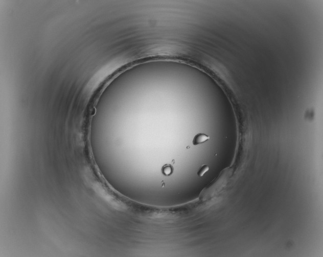 X0000112111026200908111437