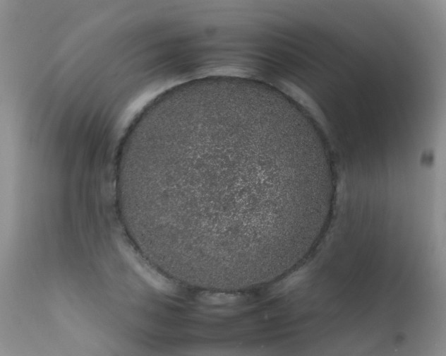 X0000112111027200908111437