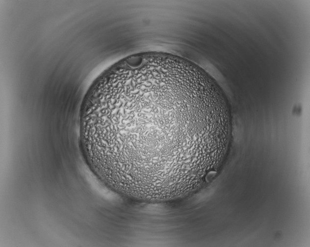 X0000112111028200908111437