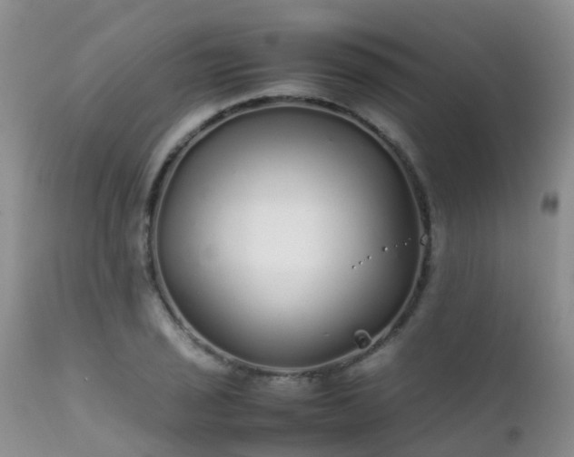 X0000112111029200908111437