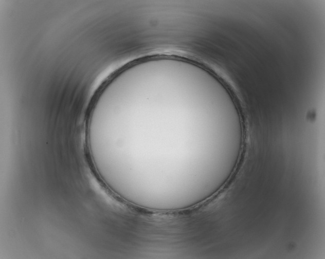 X0000112111032200908111437