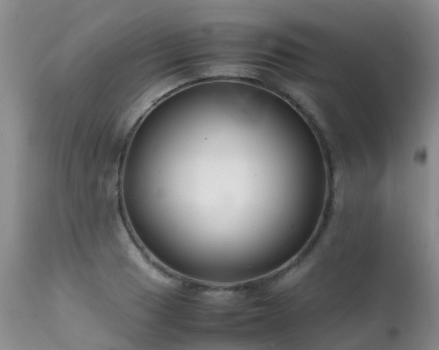 X0000112111033200908111437