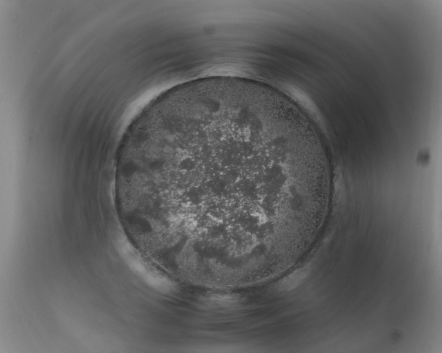 X0000112111035200908111437