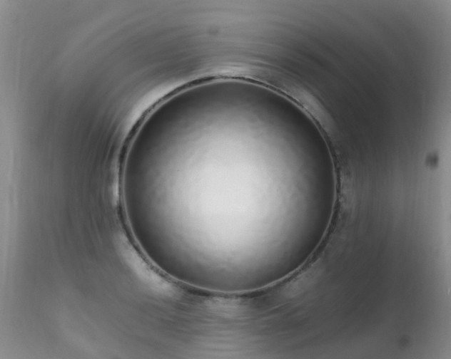 X0000112111036200908111437