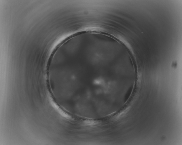 X0000112111037200908111437