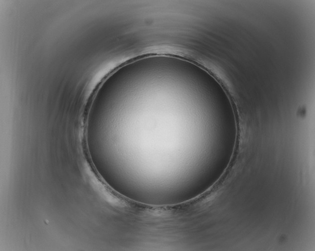 X0000112111040200908111437