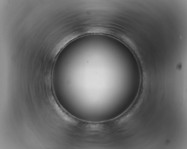 X0000112111041200908111438