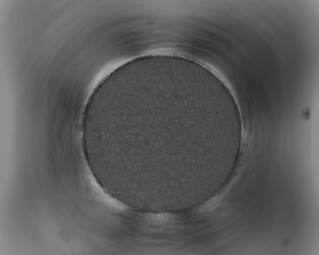 X0000112111045200908111438