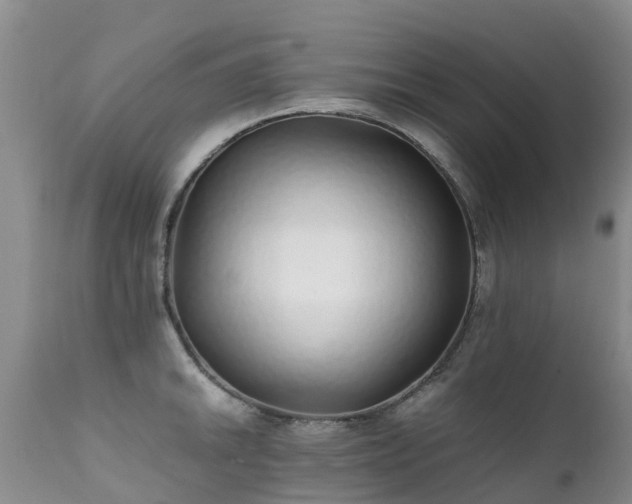 X0000112111046200908111438