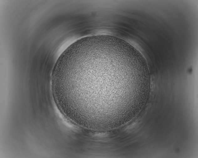 X0000112111047200908111438