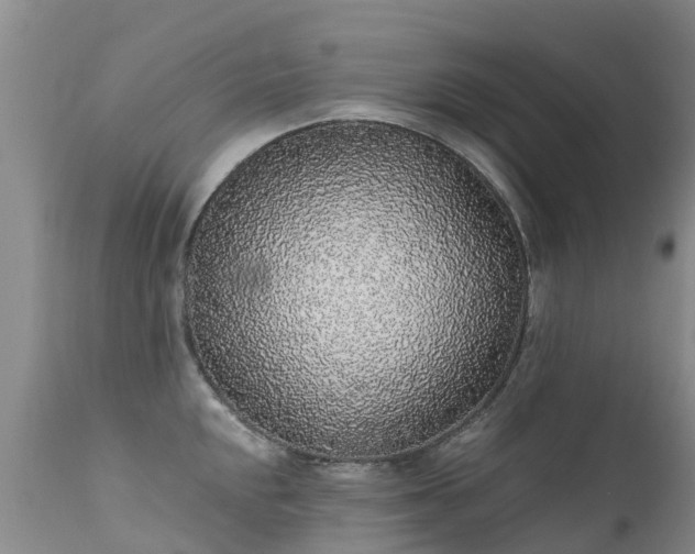 X0000112111048200908111438