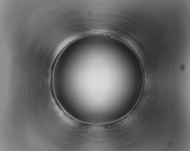 X0000112111050200908111438