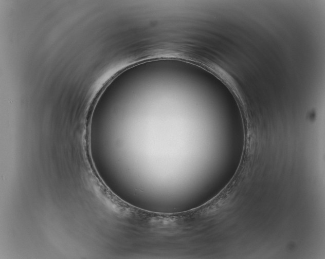 X0000112111051200908111438