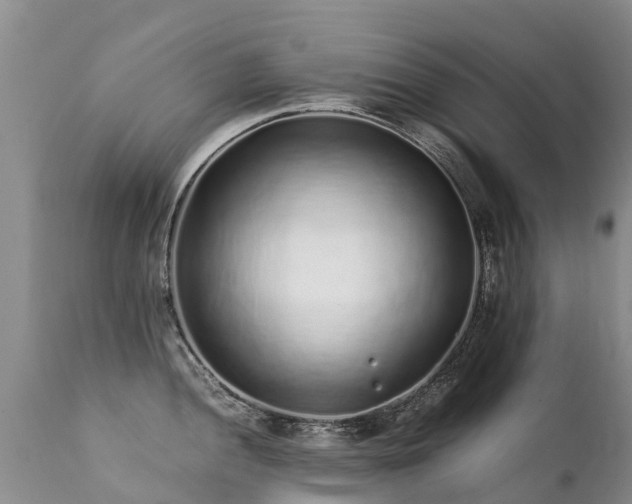 X0000112111052200908111438