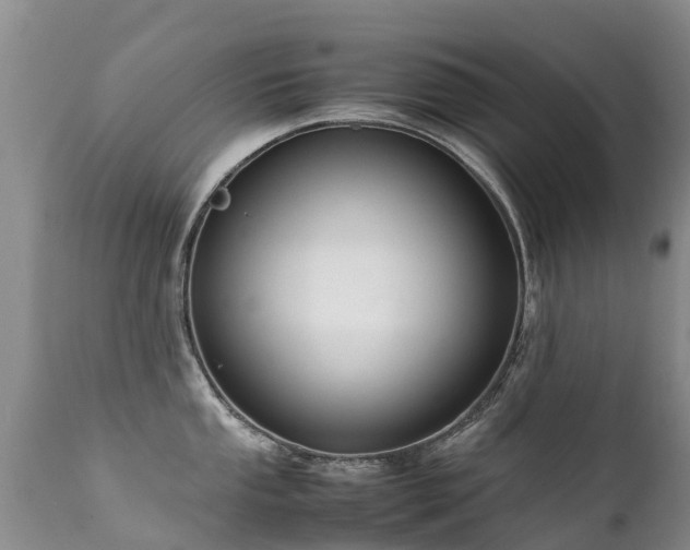 X0000112111053200908111438