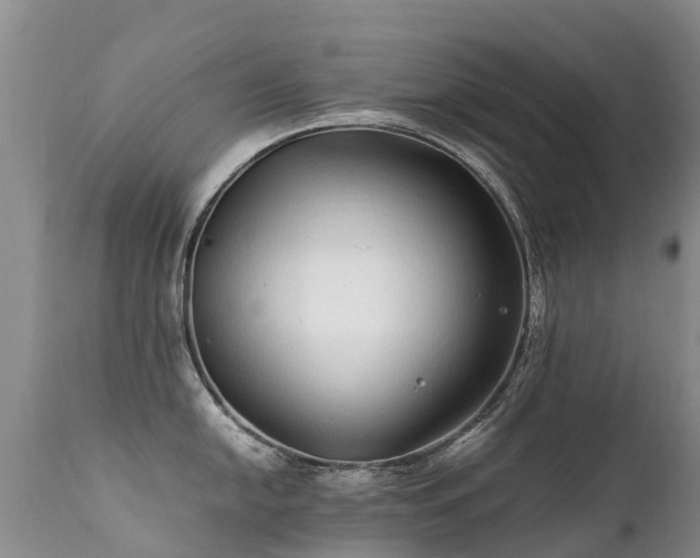 X0000112111054200908111438