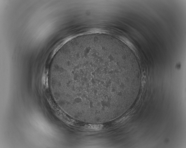 X0000112111055200908111438