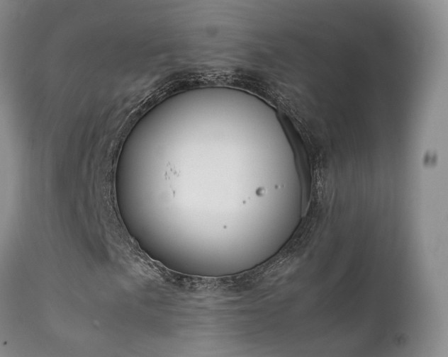 X0000112111057200908111437