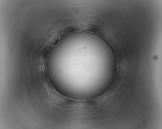 X0000112111058200908111437