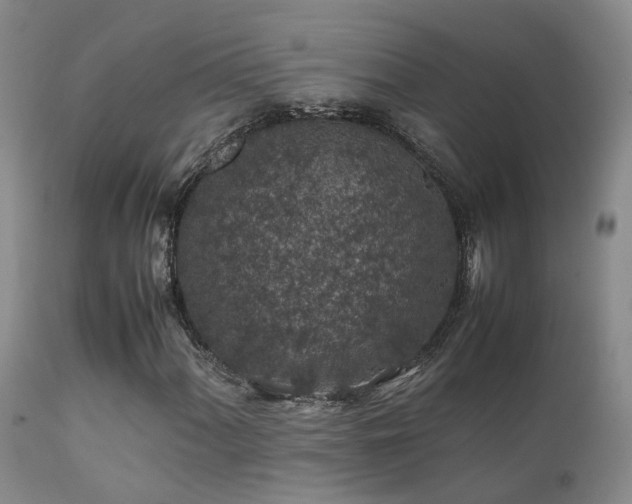 X0000112111060200908111437