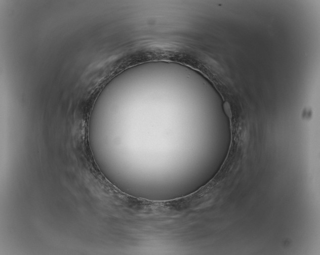 X0000112111061200908111437